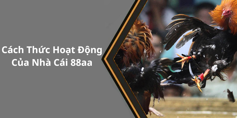 Cách Thức Hoạt Động Của Nhà Cái 88aa