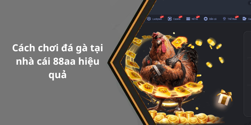Cách chơi đá gà tại nhà cái 88aa hiệu quả