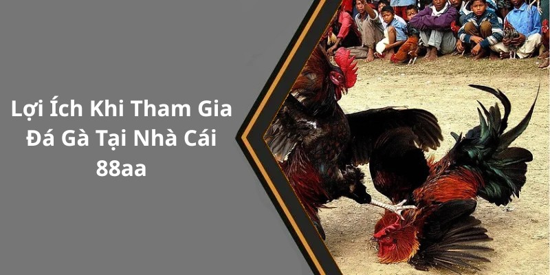 Lợi Ích Khi Tham Gia Đá Gà Tại Nhà Cái 88aa