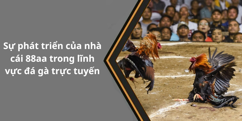 Sự phát triển của nhà cái 88aa trong lĩnh vực đá gà trực tuyến